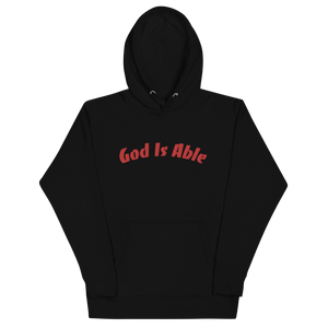 “I AM” Black History Queen Nzinga Hoodie (Embroidered front/ DTG back)
